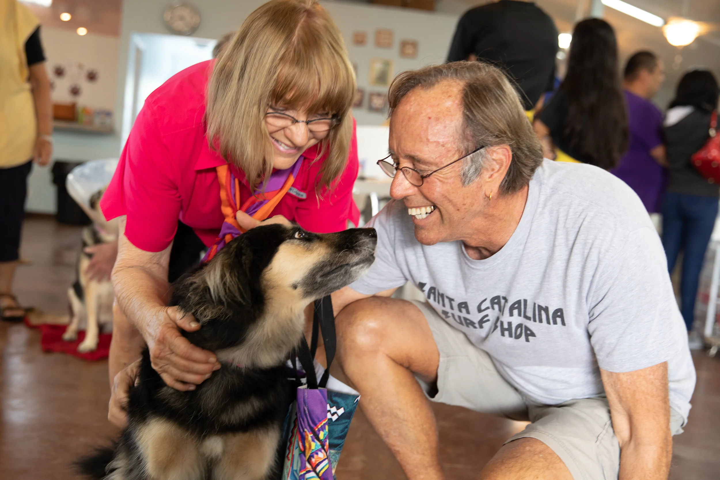 Veterinary team at clinic