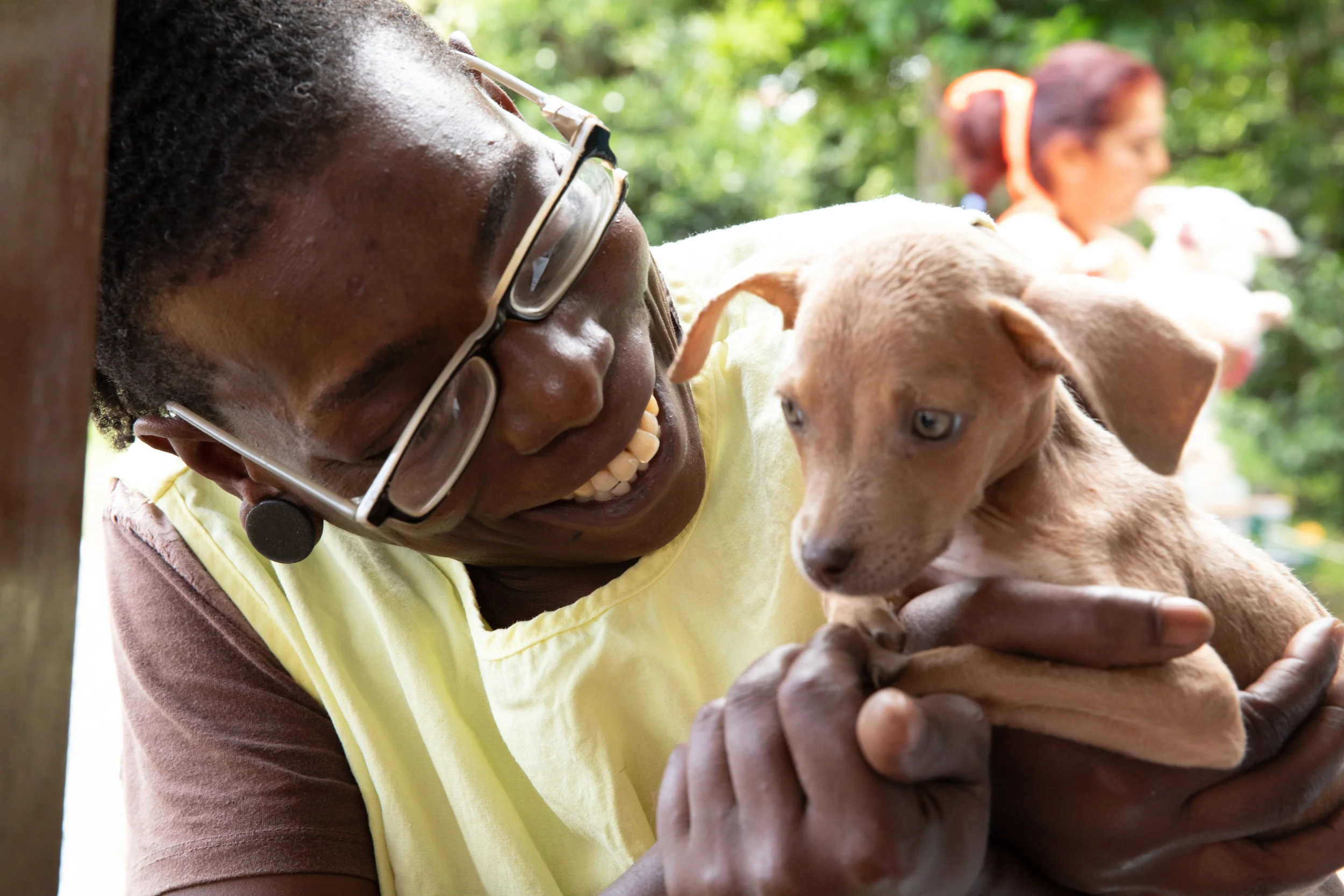 Volunteers working with animals
